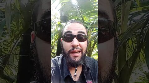 O Trabalho e a diversão no Reino