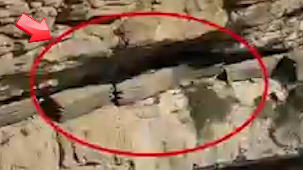 There appears to be a coffin-like object inside the cliff...