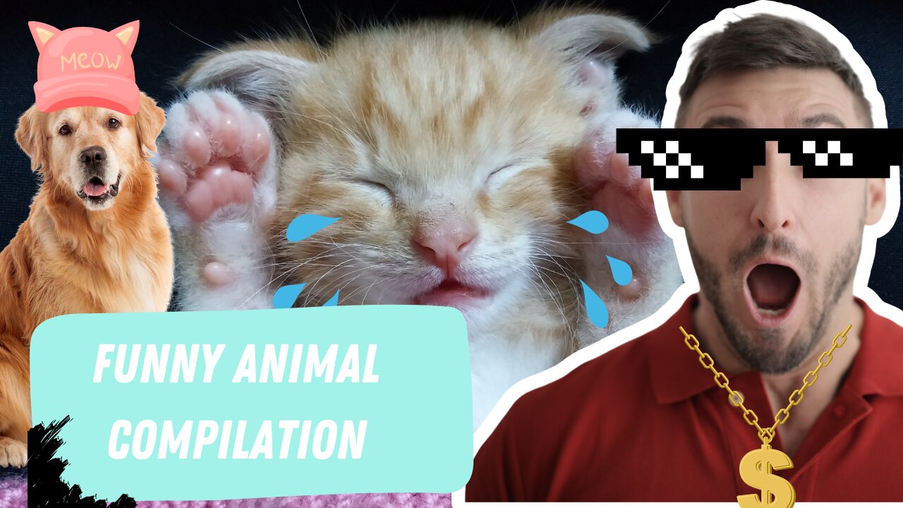 TRY NOT to LAUGH Animals FUNNY PET FAILS Compilation | Epic Pet Videos & Moments