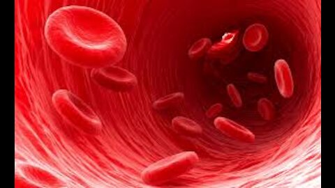 PURE BLOODED CHECK IT AND SEE