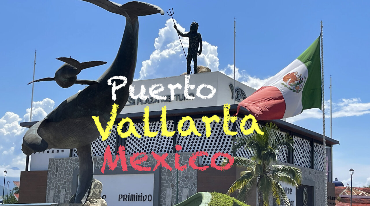 Puerto Vallarta: Local Tour and Crocodile Infested Beaches?