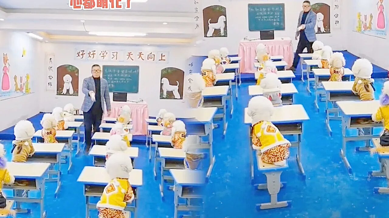 The babies are having a lesson in the classroom