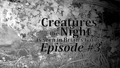 Creatures of the Night 03