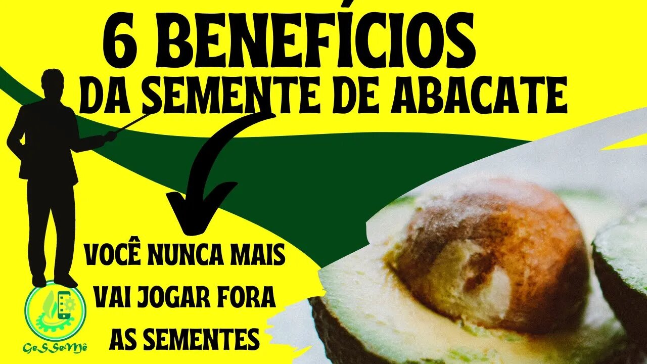 NUNCA JOGUE FORA AS SEMENTES DE ABACATE. AQUI VOCE SABE PORQUÊ