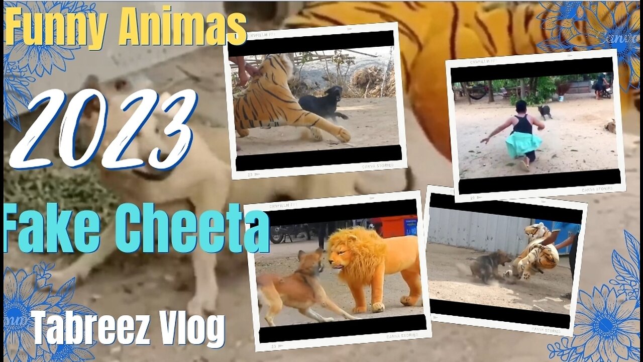 Funny Video Hilarious Animal Antics: Watch These Funny Creatures in Action! Hi