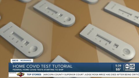 Federal home COVID tests starting to ship