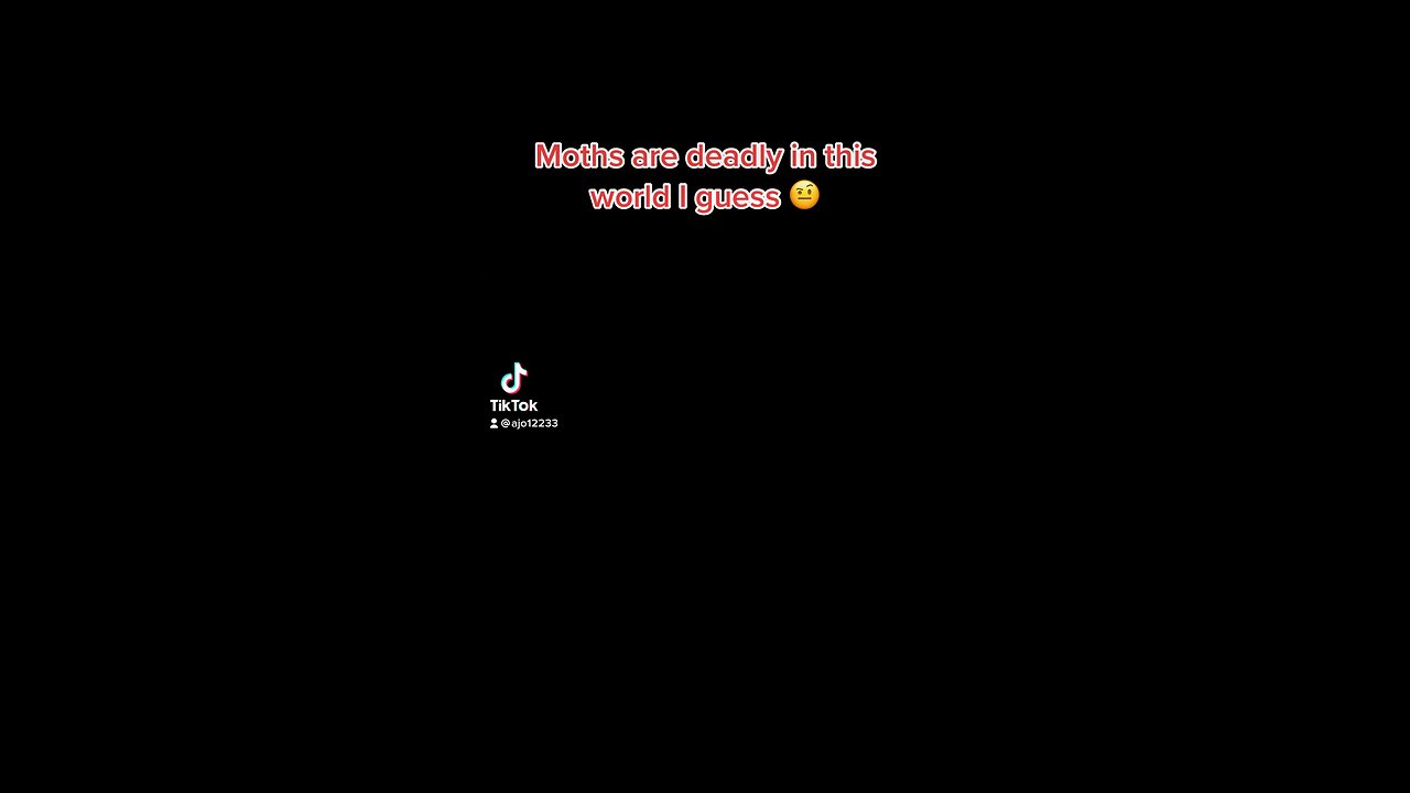Moths are deadly in this world I guess 🤨