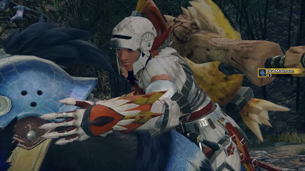 No one likes Tetranadon - Monster Hunter Rise