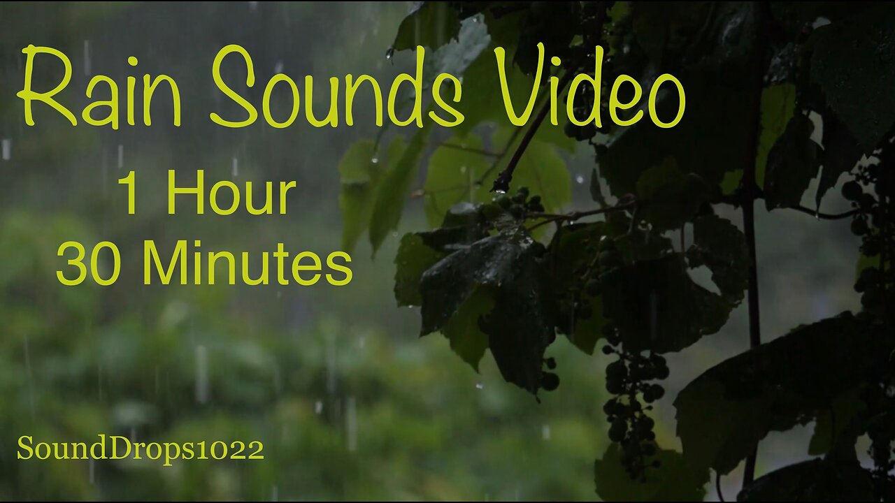 Take A Nap With 1 Hour And 30 Minutes Of Rain Sounds Video