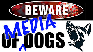 Beware of Media Dogs