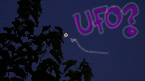 What's flying across our night skies?