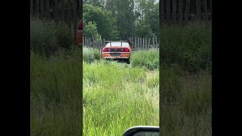 How to bring down a fence #shorts