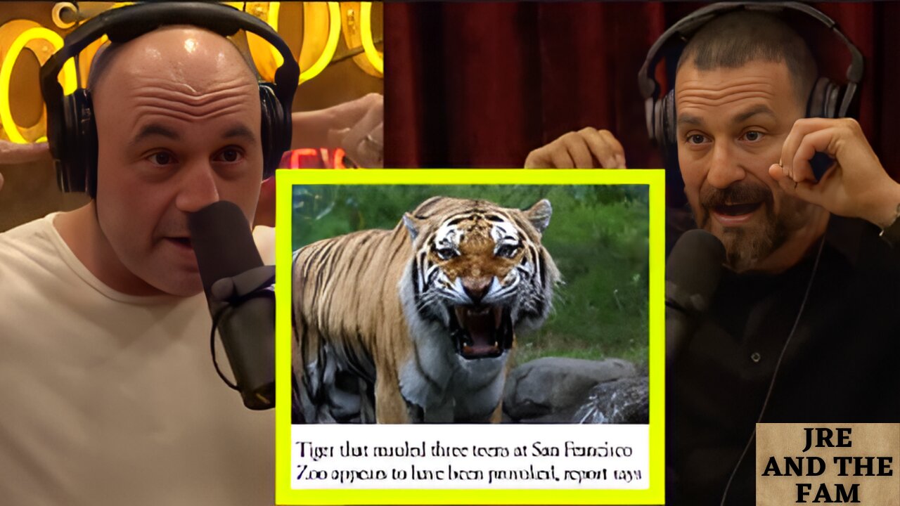 Joe Rogan: Tiger ESCAPES From The San Fransisco ZOO!! Attacking 3 People?!