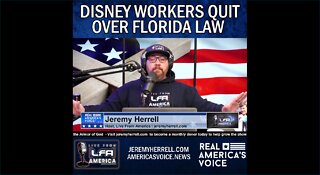 Disney Workers Quit Over Florida Law