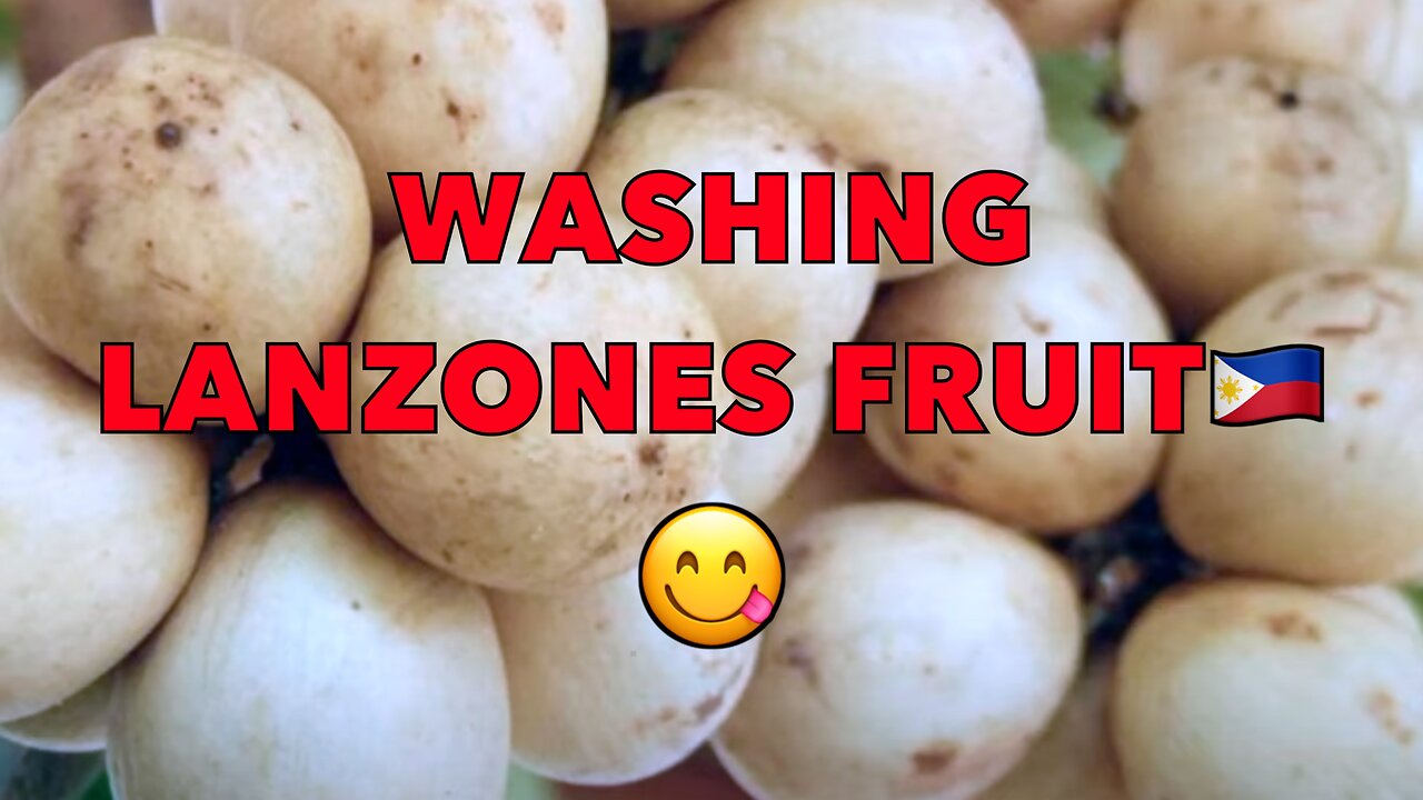 LANZONES FRUIT🇵🇭