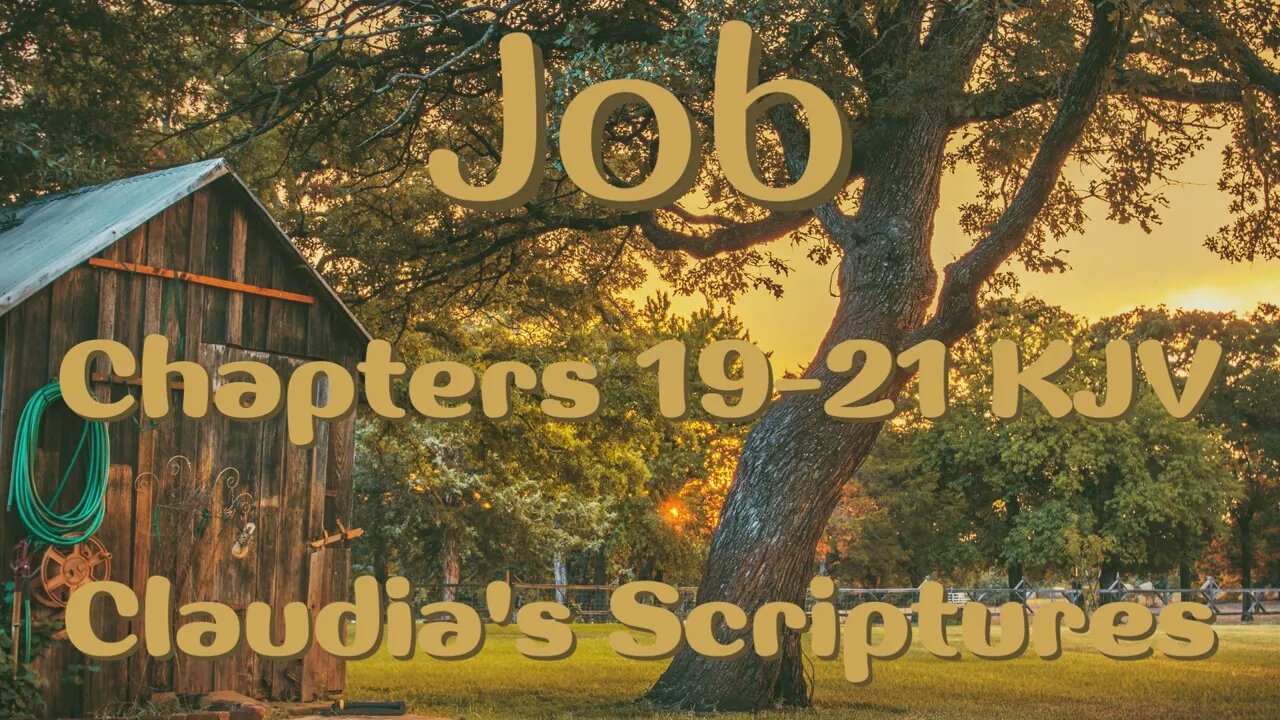 The Bible Series Bible Book Job Chapters 19-21 Audio