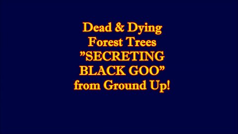 "Black Goo" - LIVING, DEMONIC, Intelligent Liquid Crystals 'COMMUNICATE' - MLordandGod - 2016