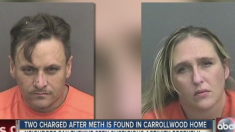 Two charged after Meth is found in Carrollwood home