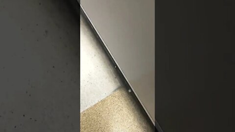 Greyhound bus late or #gangstalking employee playing games? She was rude earlier when I asked.