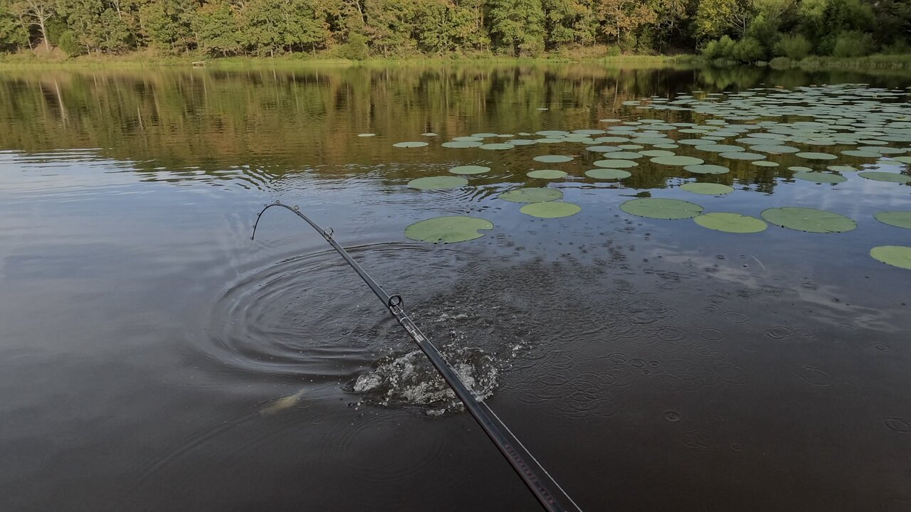 Fishing for Bass with Rod from Boat 7