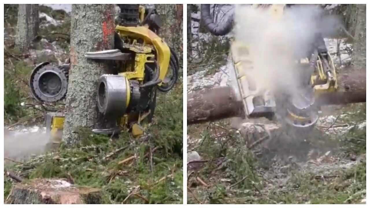 Powerful Wood Cutter🔥🔥