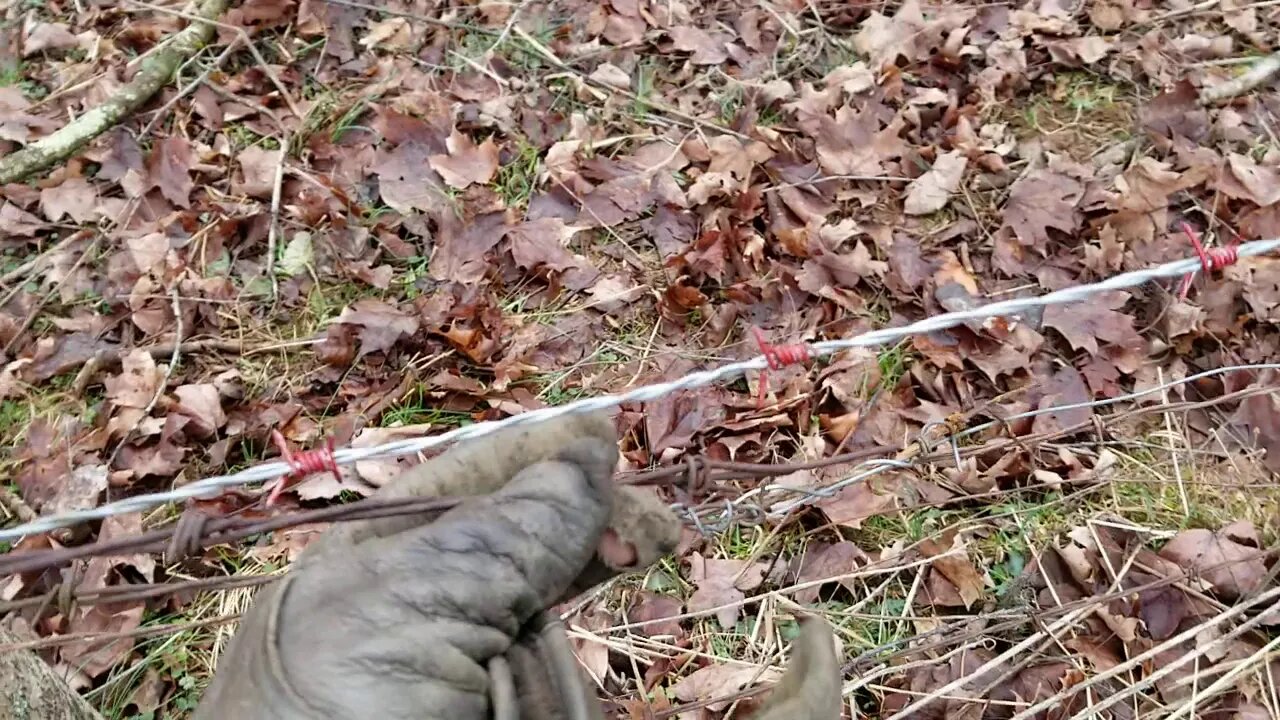 🐮🐄 FENCING ON A COLD DAY 🐄🐮