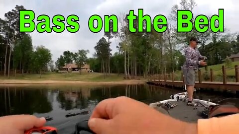 Sight Fishing Bass on the Bed