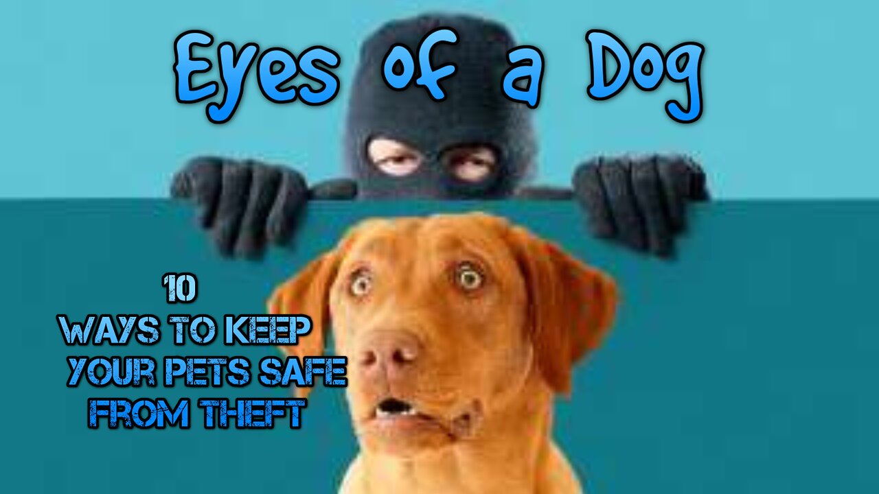 10 ways to prevent pet theft