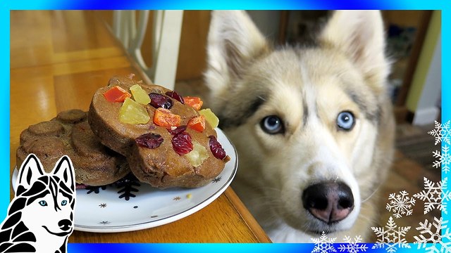 DIY Christmas fruitcake for dogs