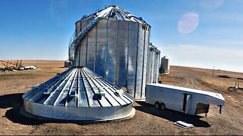 Seed in the DUST your new BIN will BUST!