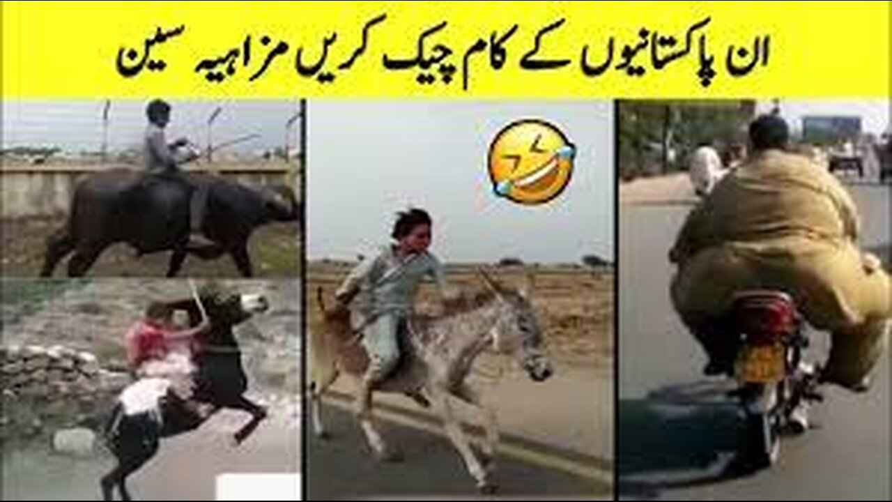 pakistani funy video