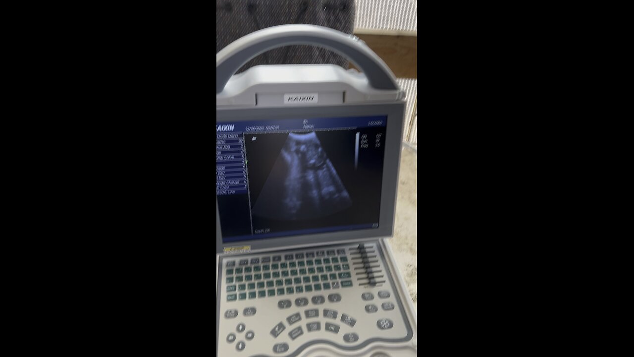 Goat Ultrasound with the ScanX Elite 5600