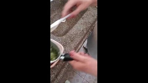 18 Cirurgia bariátrica escarola com cebolinha fervida