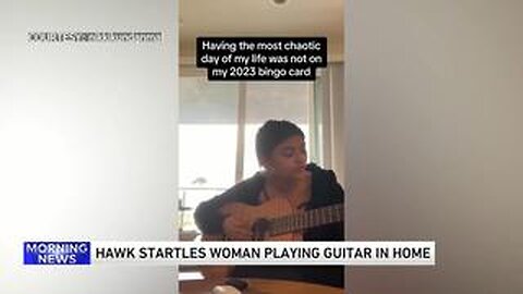 Hawk startles woman playing guitar in California home