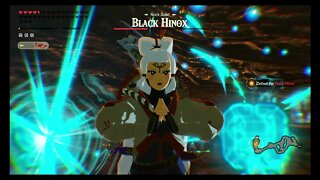 Hyrule Warriors: Age of Calamity - Vicious Hinox - EX Alert: Crenel Peak (3) (Apocalyptic)