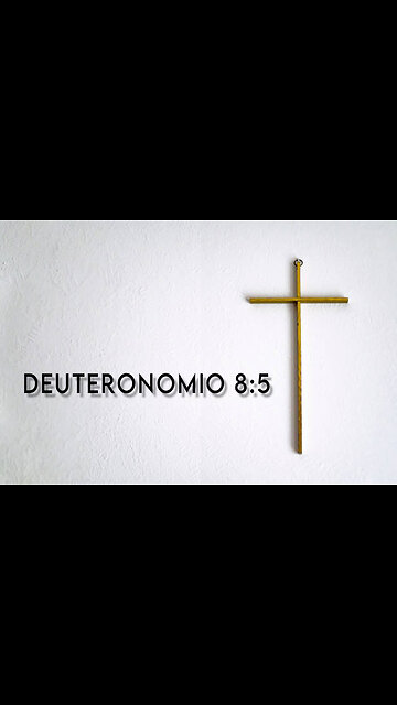 Deuteronomio 8:5