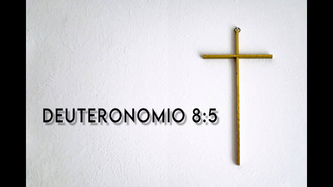 Deuteronomio 8:5