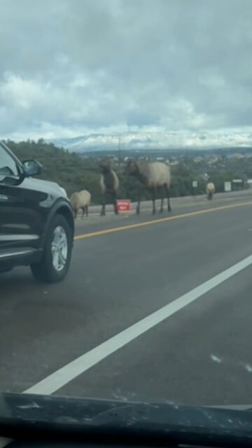 The Many Terrains Of Arizona