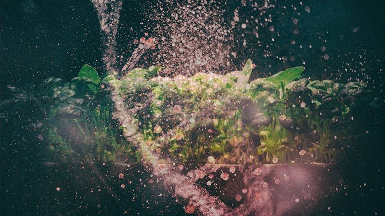 The MRNA Vaccine Diet