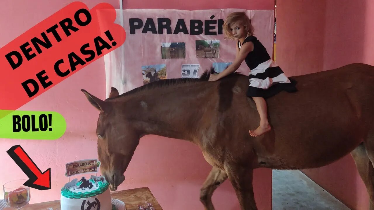 OLHA O QUE ESSE BURRO VIU DENTRO DE CASA - ANIVERSÁRIO DO VAQUEIRO PO