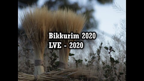 Bikkurim 2020