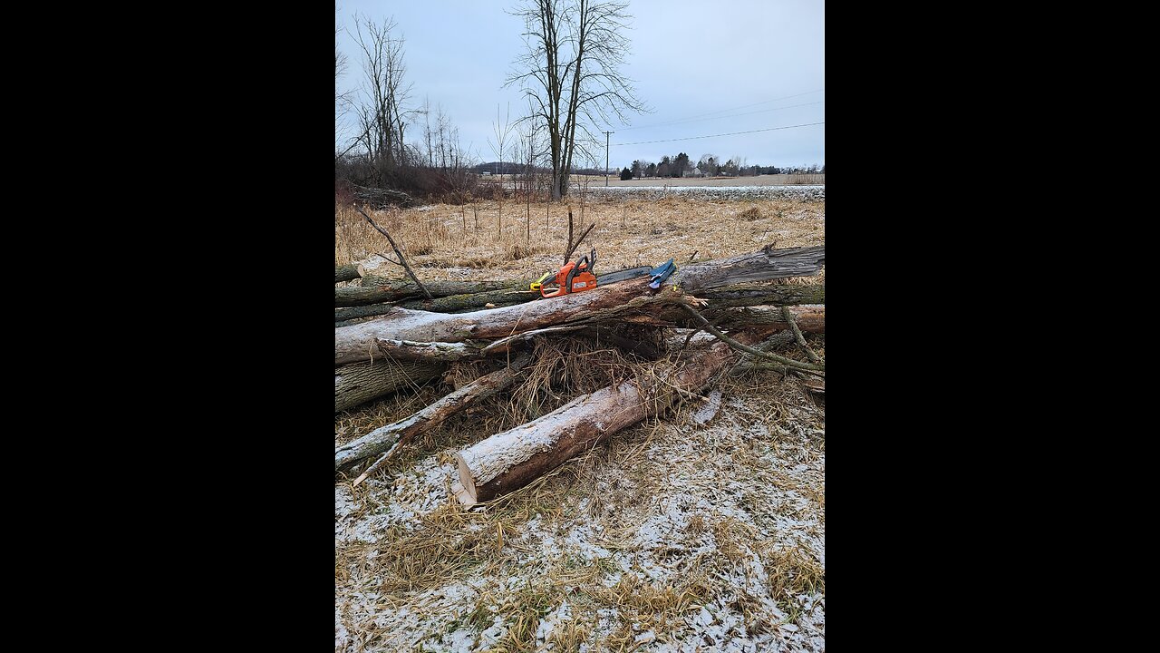 Tools and tips I use for cutting dead ash trees for firewood.