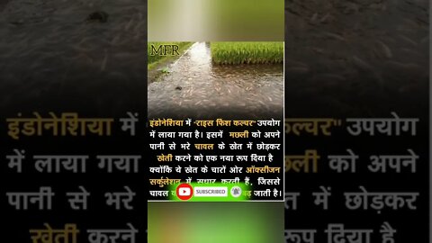Amazing Facts by MFR