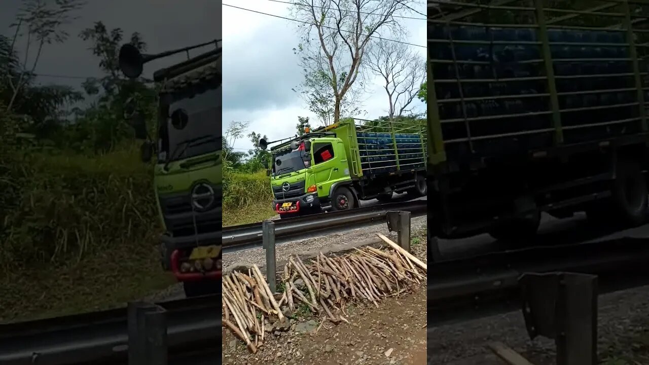 bus