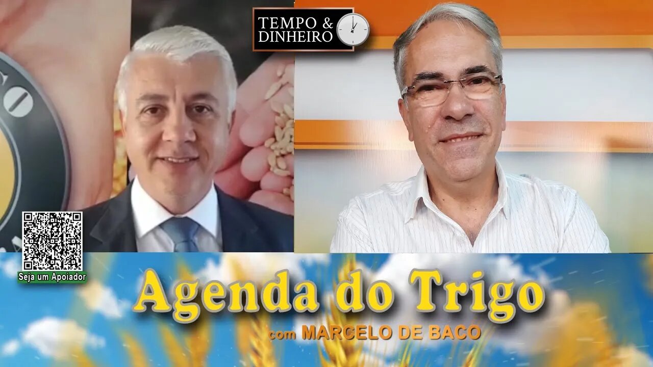 A demanda por trigo é o Dolar index