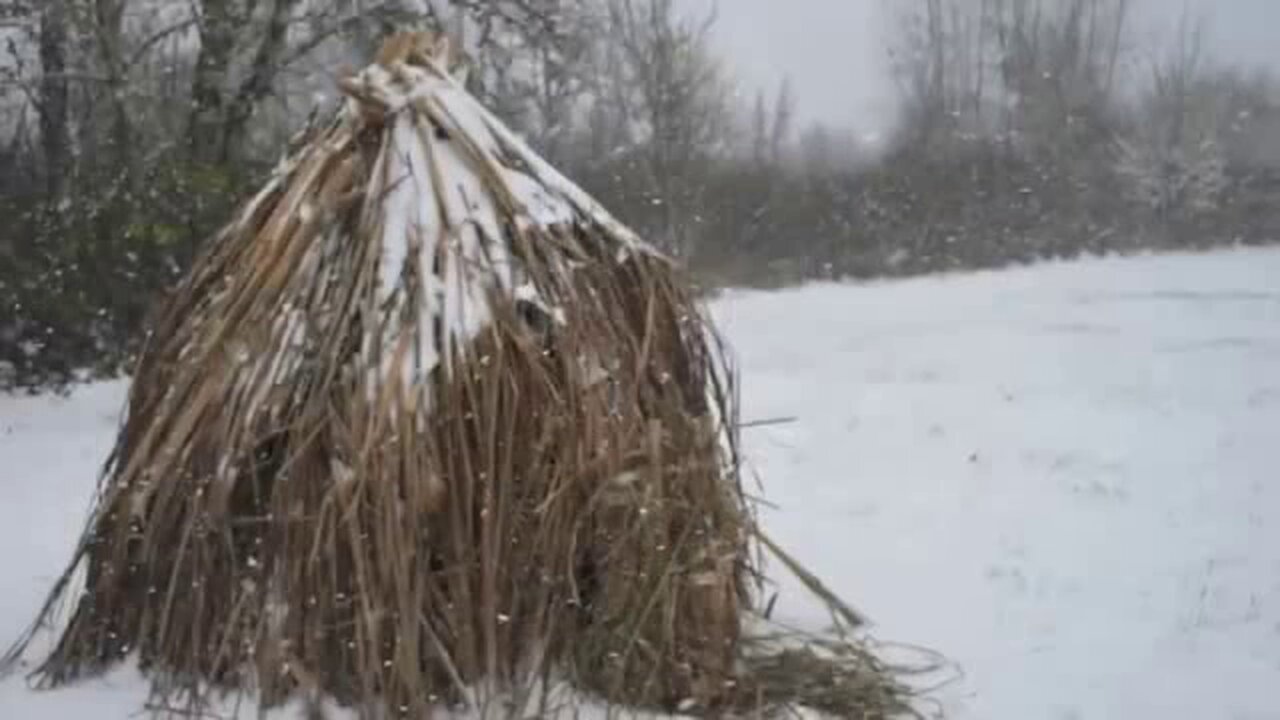 PRIMITIVE SURVIVAL, Cattail Shelter With Just A Rock