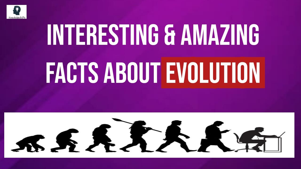 Most Amazing & Interesting Facts About Evolution
