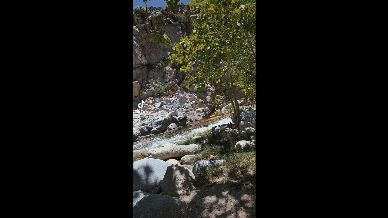 The sound of the river and the breeze just gently blowing my mind was able to just go blank 🤘💯