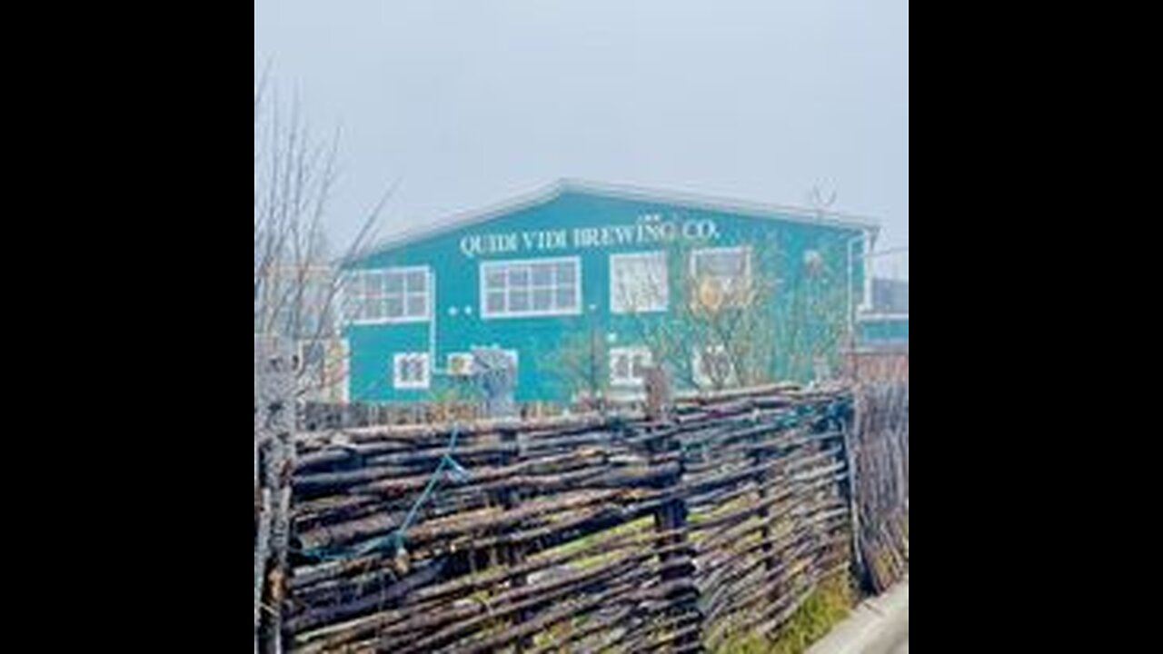 Quidi Vidi & Petty Harbour