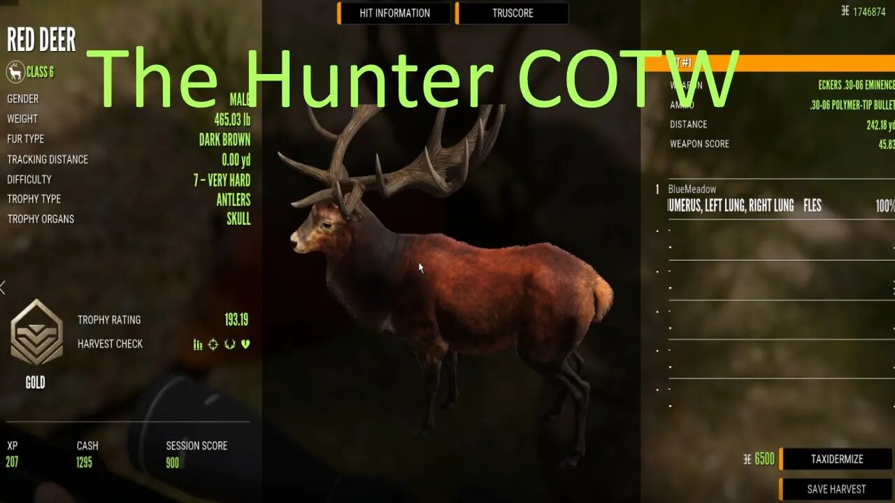 The Hunter Call of the Wild E7